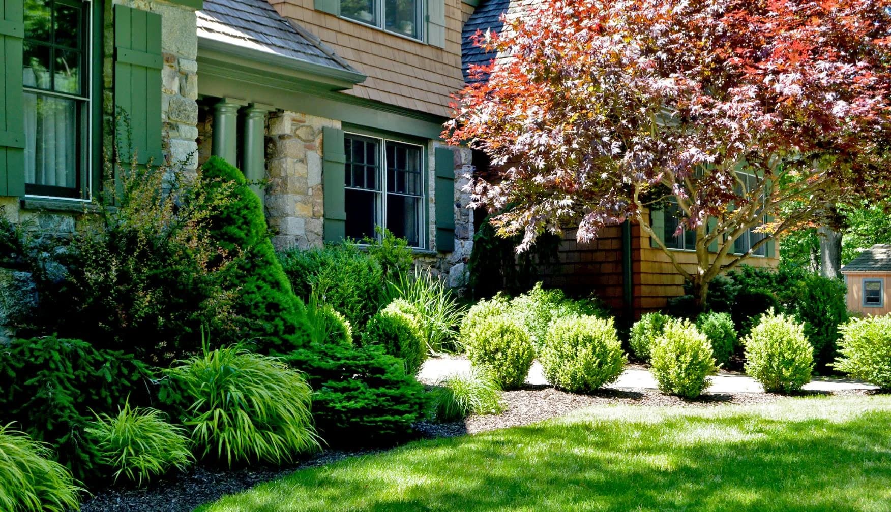 Planting in Scarborough