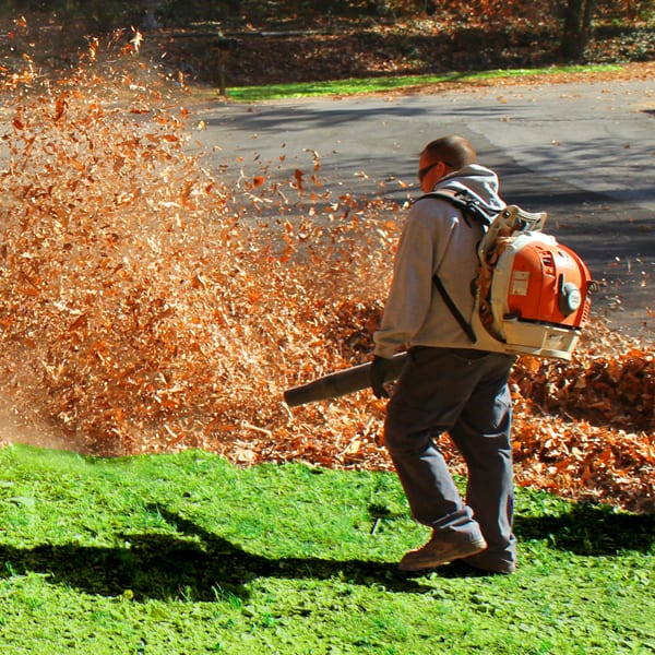 Leaf Removal in Saco example 3